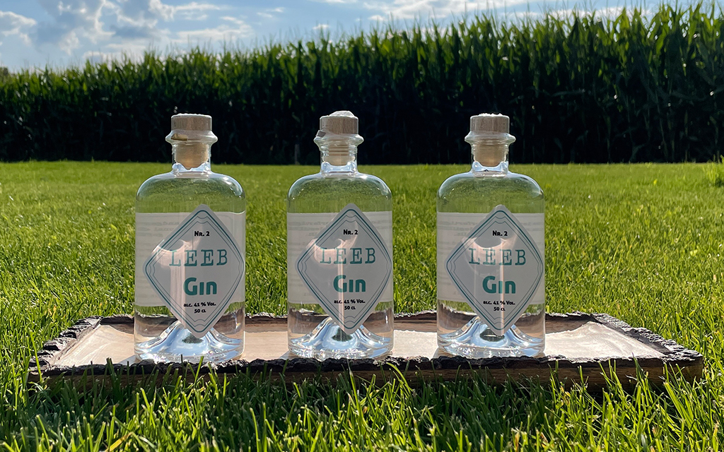 GIN KAUFEN